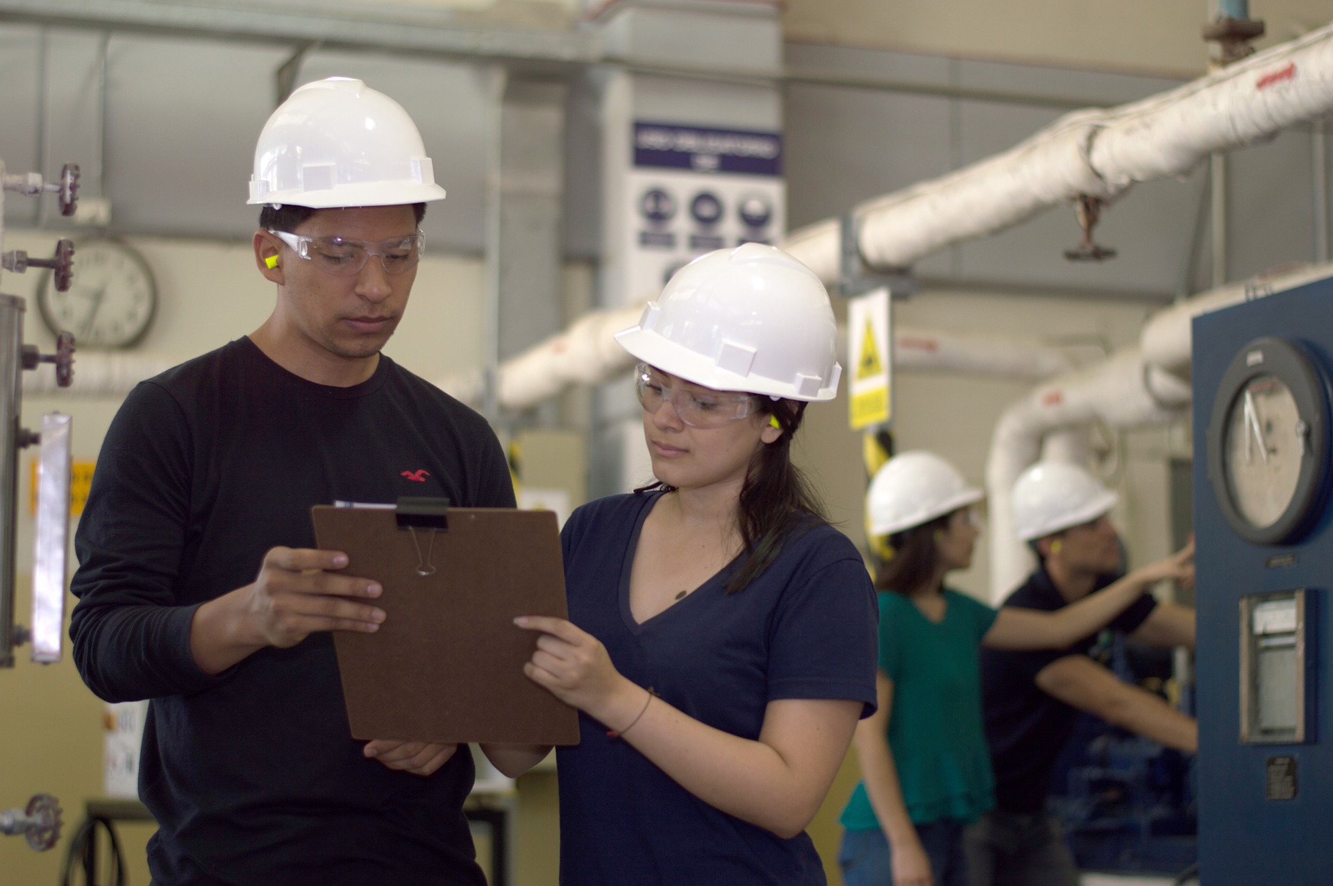 Auditor / Assessor