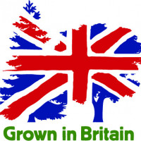 Grown in Britain