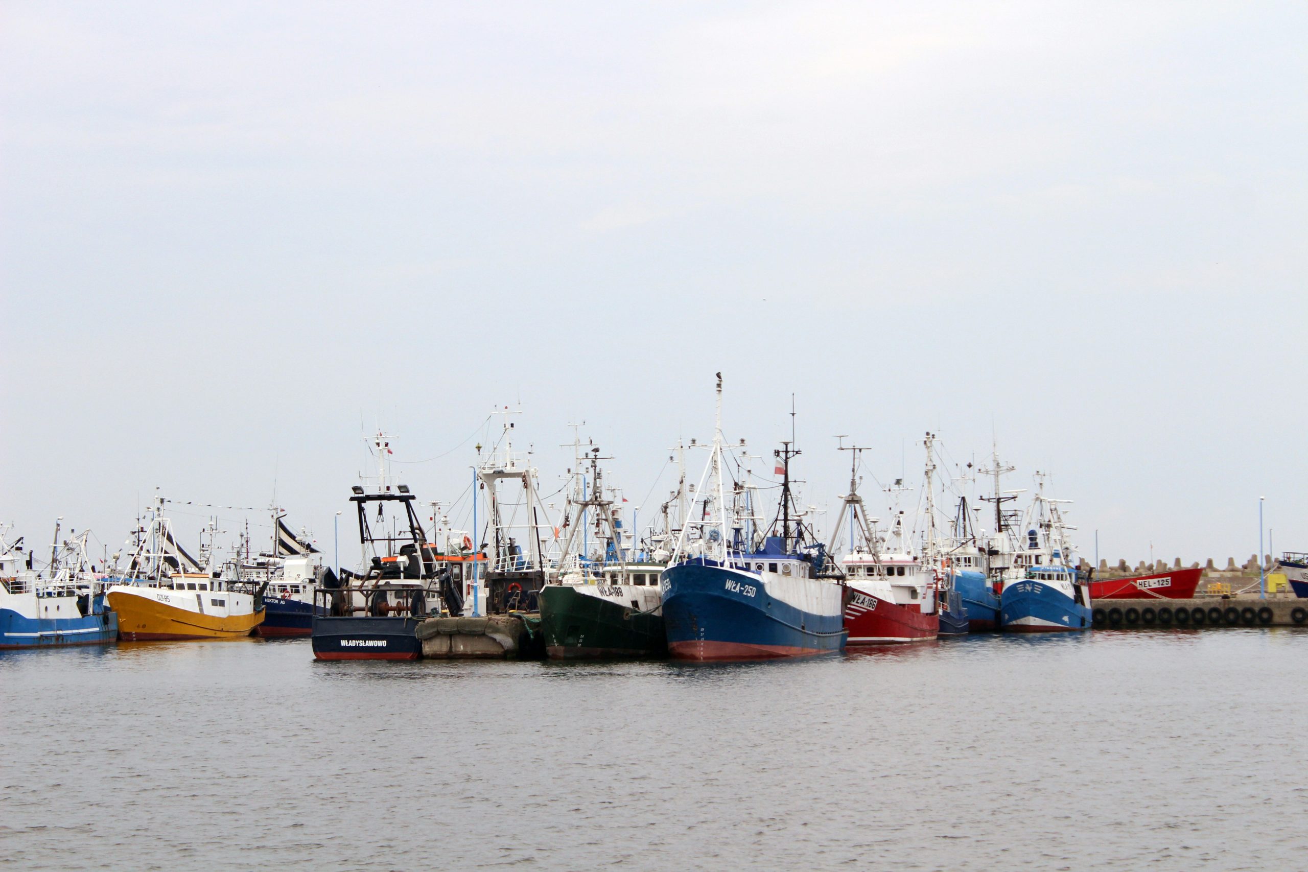 FISH Standard Certificate Register